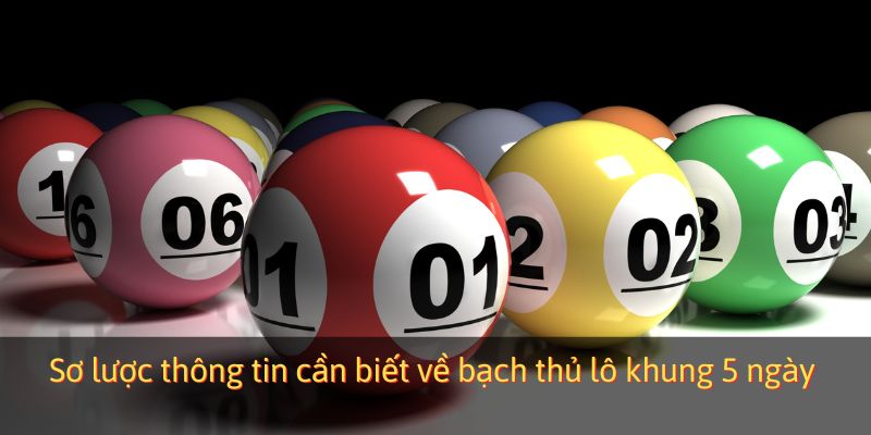 Sơ lược thông tin cần biết về bạch thủ lô khung 5 ngày