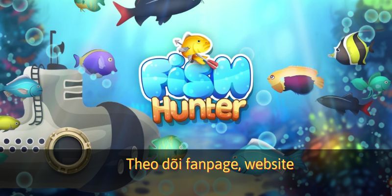 Theo dõi trang fanpage, website chính thức